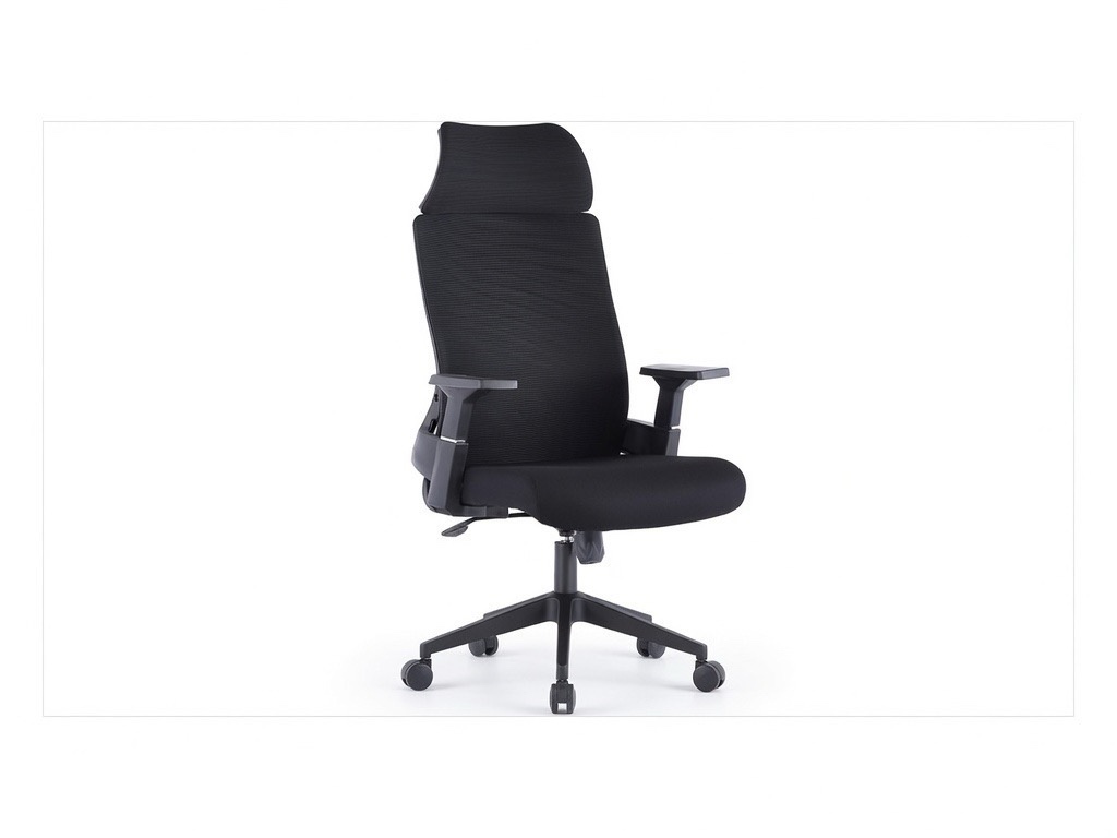 Ergonomic High-Back Black Mesh Office Chair with Adjustable Headrest and Lumbar Support Office Chairs thumbnail 1