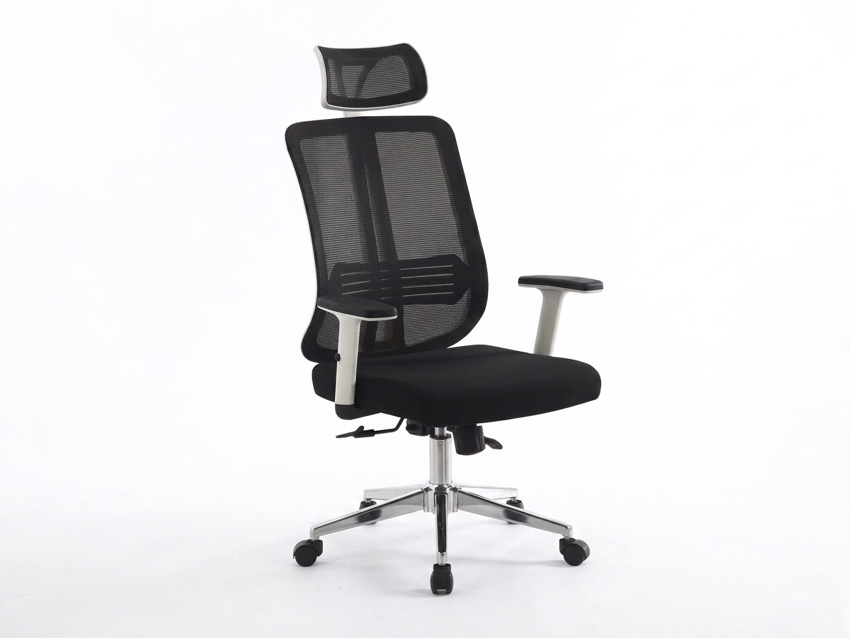 Ergonomic Black and White High-Back Mesh Office Chair with Adjustable Headrest Office Chairs thumbnail 1